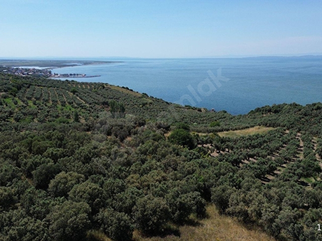 SEVİNÇTEN DENİZE 270 METRE MESAFEDE, YERLEŞİME YAKIN 4.614 M² - Görsel 30