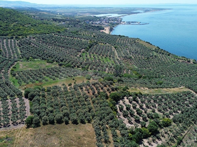 SEVİNÇTEN DENİZE 270 METRE MESAFEDE, YERLEŞİME YAKIN 4.614 M² - Görsel 11