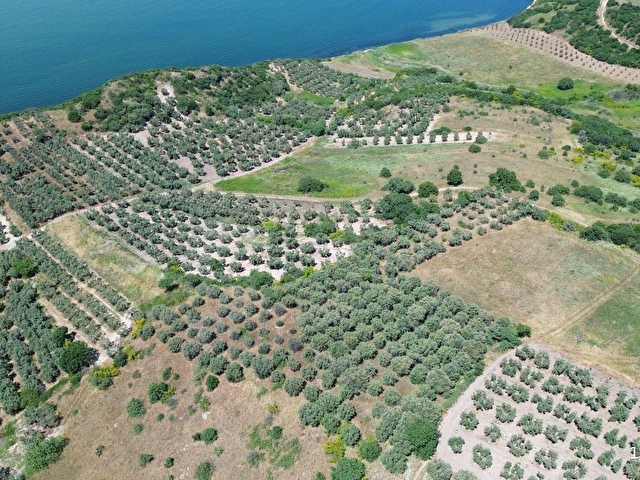 SEVİNÇTEN DENİZE 270 METRE MESAFEDE, YERLEŞİME YAKIN 4.614 M² - Görsel 3