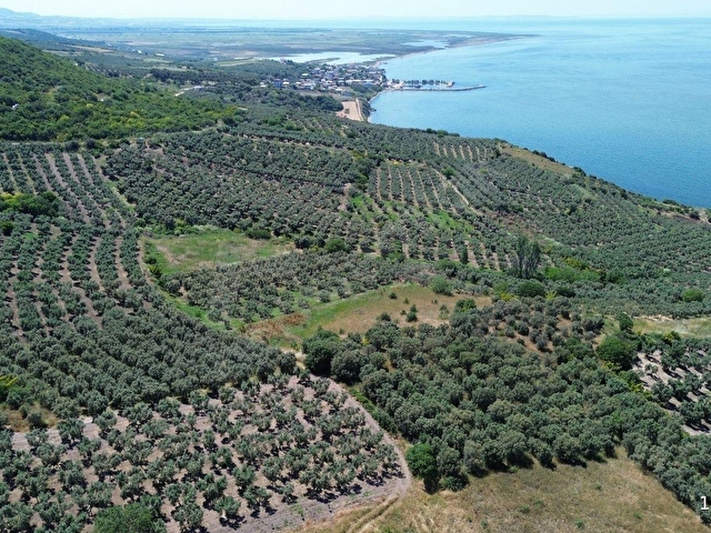 SEVİNÇTEN DENİZE 270 METRE MESAFEDE, YERLEŞİME YAKIN 4.614 M² - Görsel 10