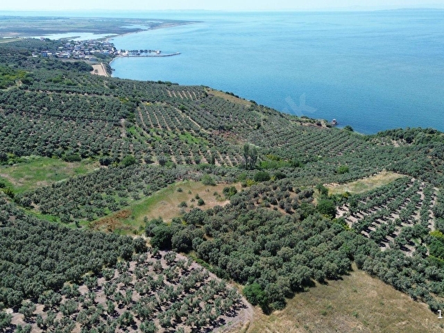 SEVİNÇTEN DENİZE 270 METRE MESAFEDE, YERLEŞİME YAKIN 4.614 M² - Görsel 9