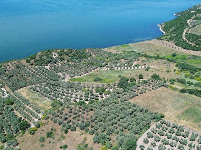 SEVİNÇTEN DENİZE 270 METRE MESAFEDE, YERLEŞİME YAKIN 4.614 M² - Görsel 4
