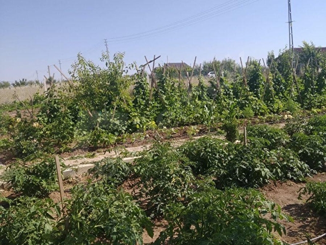 GÖLBAŞI İKİZCEDE 750 M2 BAHÇELİ EV 750 M2 - Görsel 12