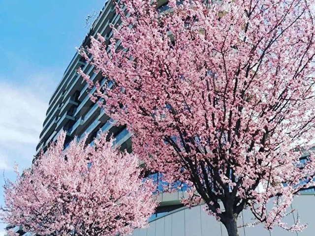 Maidan da KDV Avantajlı Kiralık 70 Net M² Yapılı Ofis FIRSAT!!! - Görsel 10