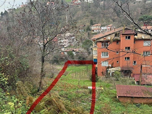 Merkez Birlik Satılık