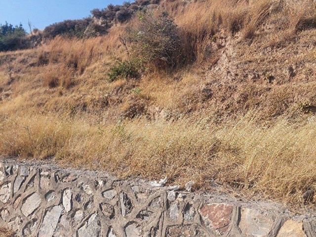 KUŞADASI ÇEVRE YOLUNU SIFIR SATILIK ARSA - Görsel 4
