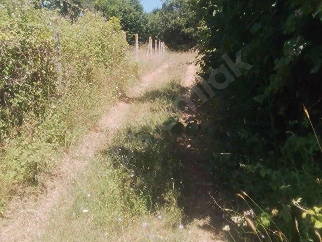 ÖZ-EMMAXTAN KANDIRA ÇAMKONAKTA SATILIK 601 m2 TARLA - Görsel 4