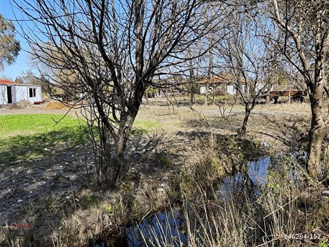 NYSA EMLAKTAN SATILIK 2.063 M2 ŞAHSİ TAPU TARLA - Görsel 6