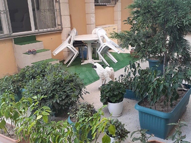 BAHÇE KULLANIMLI 2+1 FULL YAPILI DAİRE.. - Görsel 19