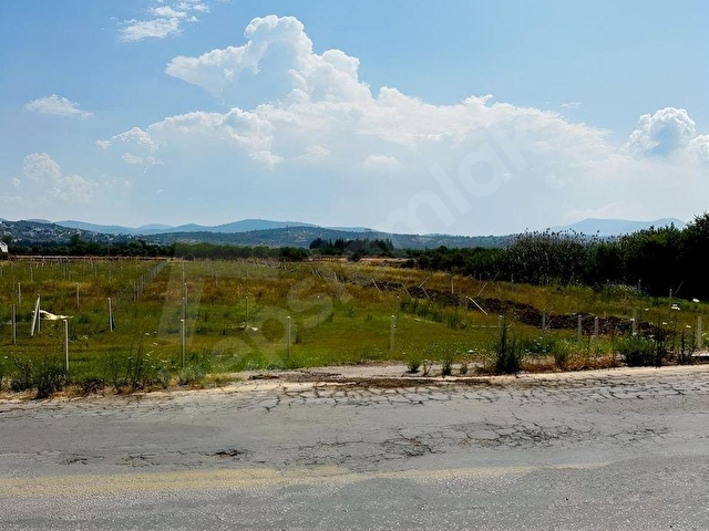 SAZKÖYDE DOĞAYLA İÇ İÇE DENİZE 4 DAKİKA MESAFEDE FIRSAT BAHÇE - Görsel 12