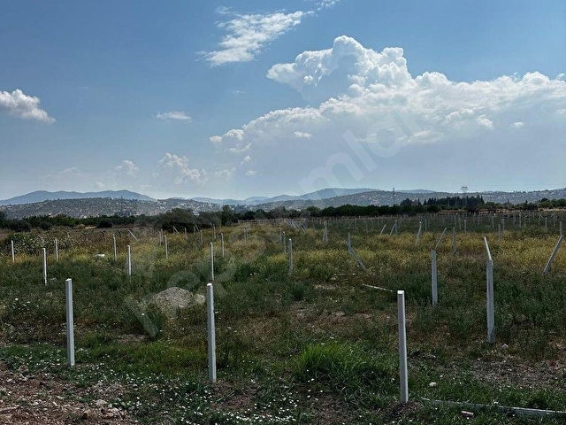 SAZKÖYDE DOĞAYLA İÇ İÇE DENİZE 4 DAKİKA MESAFEDE FIRSAT BAHÇE - Görsel 23