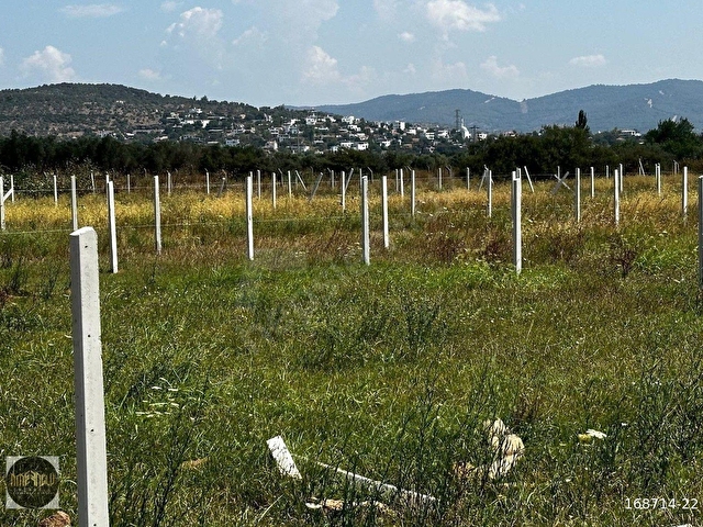 SAZKÖYDE DOĞAYLA İÇ İÇE DENİZE 4 DAKİKA MESAFEDE FIRSAT BAHÇE - Görsel 2