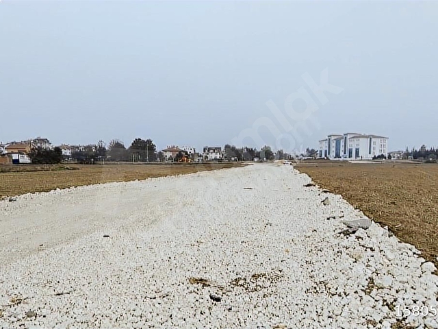 Merkez Seyit Satılık