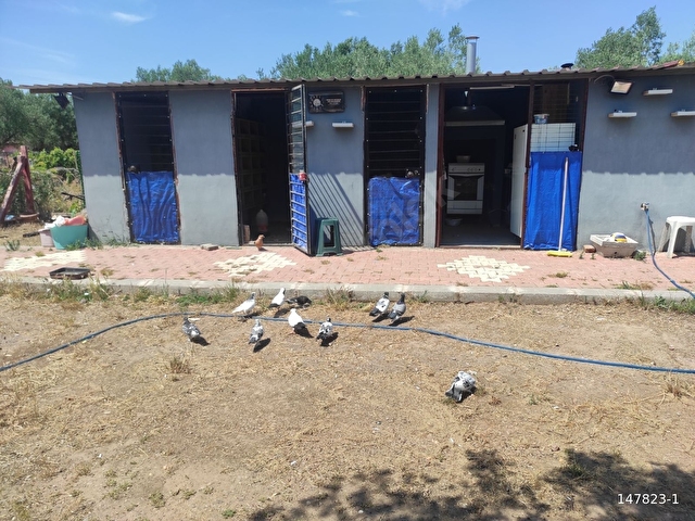 BAHADIR ŞİMŞİRLİDEN ULUCAMİDE 7.113 m2 BÖLÜNMÜŞ HOBİ BAHÇELERİ - Görsel 12