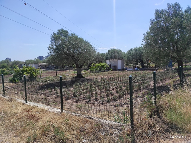 BAHADIR ŞİMŞİRLİDEN ULUCAMİDE 7.113 m2 BÖLÜNMÜŞ HOBİ BAHÇELERİ - Görsel 19