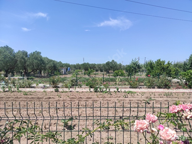 BAHADIR ŞİMŞİRLİDEN ULUCAMİDE 7.113 m2 BÖLÜNMÜŞ HOBİ BAHÇELERİ - Görsel 6