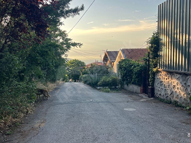 Büyükada Emlaktan Heybeliada da Deniz ve Orman Manzaralı Müstakil - Görsel 30