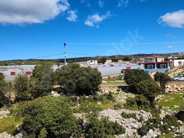 MERSİN ERDEMLİ KAYACI YOLA SIFIR KONUMDA İMARLI 1.220 METREKARE ARSA