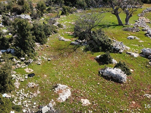 MERSİN ERDEMLİ KAYACI YOLA SIFIR KONUMDA İMARLI 1.220 METREKARE ARSA - Görsel 18