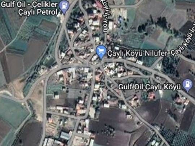 NİLÜFER ÇAYLI KÖYÜNÜN DİBİNDE 2450 m2 DİKDÖRTGEN BAHÇE - Görsel 2