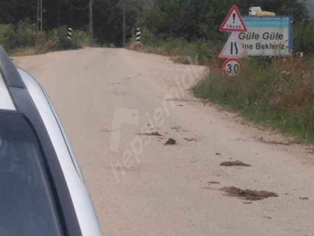 NİLÜFER ÇAYLI KÖYÜNÜN DİBİNDE 2450 m2 DİKDÖRTGEN BAHÇE - Görsel 12