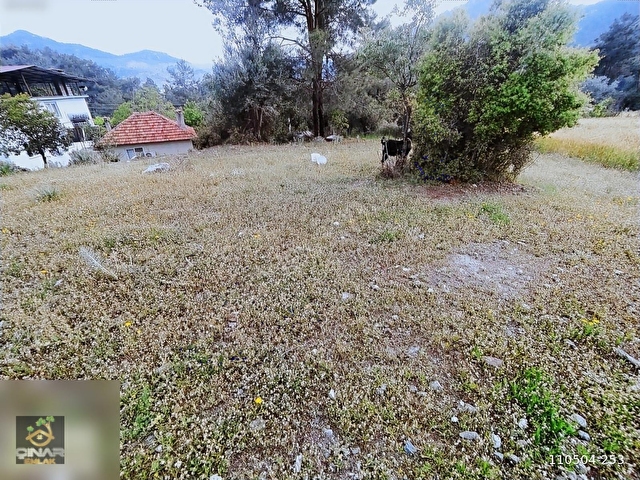 Acil Kelepir Köyceğiz Akköprü de 2.860 m2 Satılık Tarla - Görsel 5
