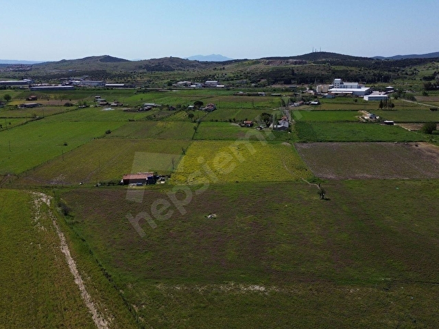 AYVALIK MERKEZE YAKIN SATILIK TARLA - Görsel 24