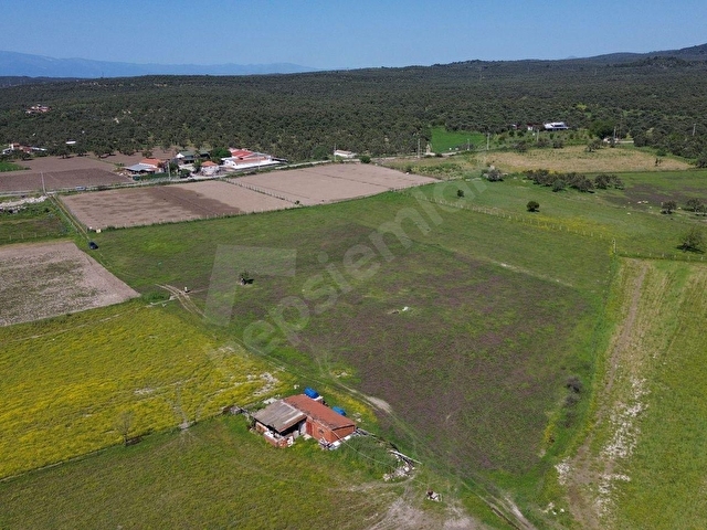 AYVALIK MERKEZE YAKIN SATILIK TARLA - Görsel 20