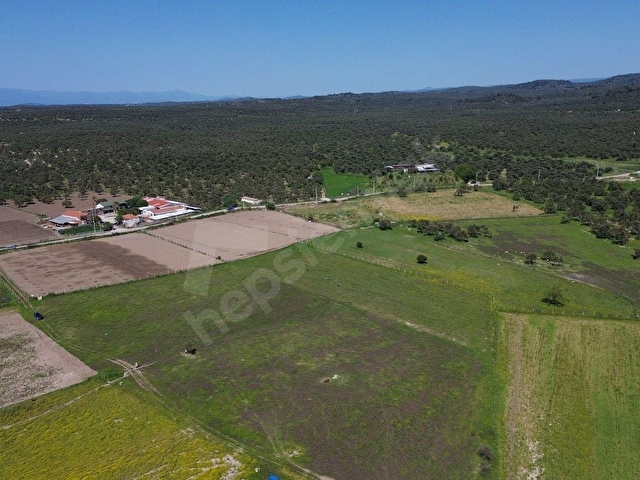 AYVALIK MERKEZE YAKIN SATILIK TARLA - Görsel 14