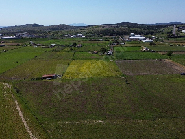 AYVALIK MERKEZE YAKIN SATILIK TARLA - Görsel 27