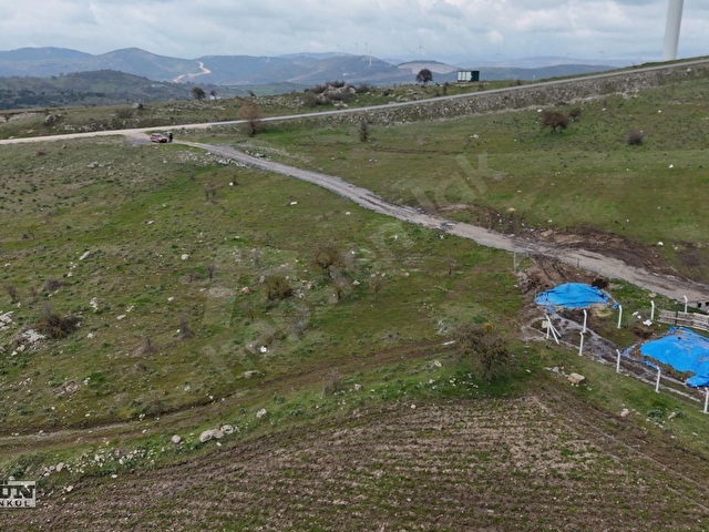 Akgünden Kürsede 16,365 m2 dönüm Satılık çiflik - Görsel 5