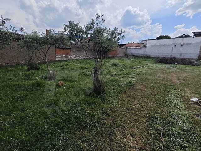 URGANLIDA SATILIK 2520 m2 İMARLI ARSA - Görsel 3