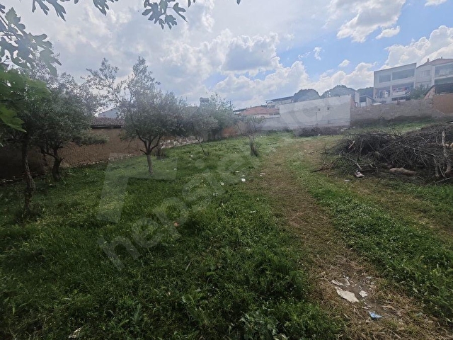 URGANLIDA SATILIK 2520 m2 İMARLI ARSA - Görsel 8
