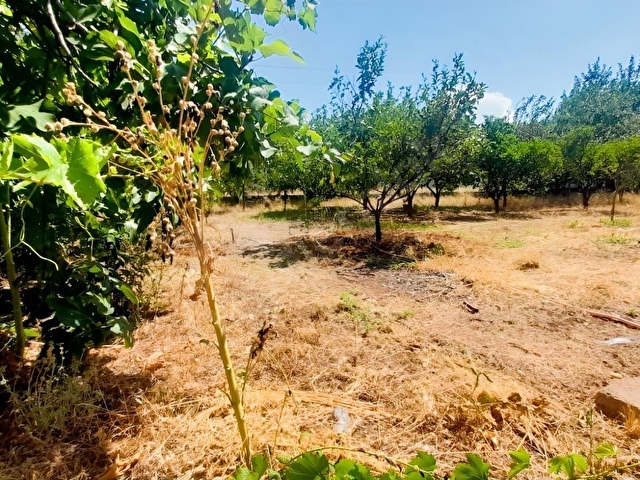 KOVANLIK DA 2 KATLI TERASLI BİNA 1 DÖNÜM BAHÇE - Görsel 23