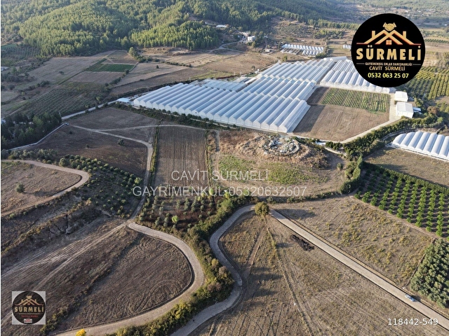 FİDELİK VE SERA YERİ SATILIK TARLA 41688 M2 BÜĞÜŞ SERİK - Görsel 3