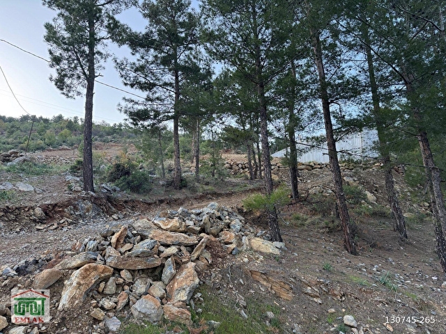 BOZYAZI KÖMÜRLÜ DE 4000M2 SATILIK TARLA - Görsel 12