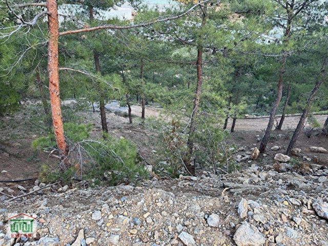 BOZYAZI KÖMÜRLÜ DE 4000M2 SATILIK TARLA - Görsel 5