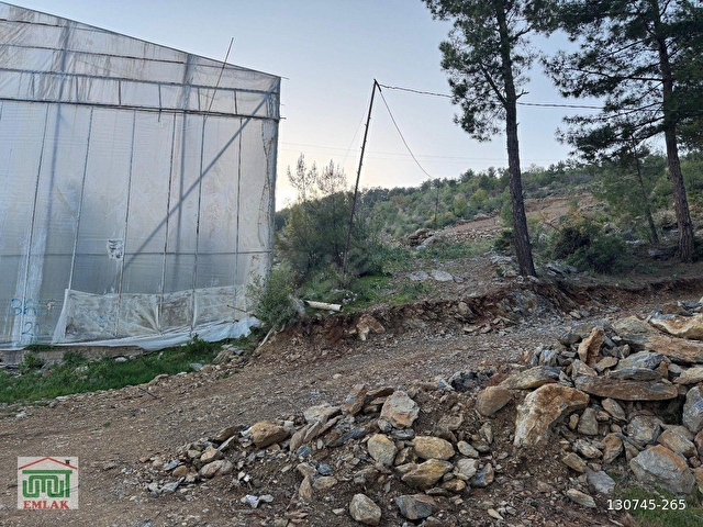 BOZYAZI KÖMÜRLÜ DE 4000M2 SATILIK TARLA - Görsel 8