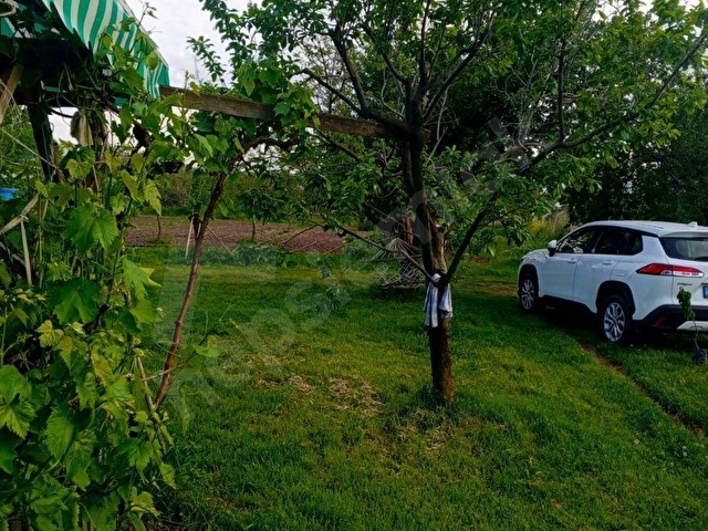 GW VİZYON GAYRİMENKULDEN ÇAKIRLI’DA SATILIK ZEYTİNLİK - Görsel 10