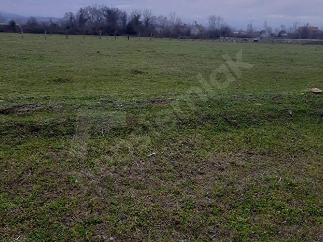satılık tarla