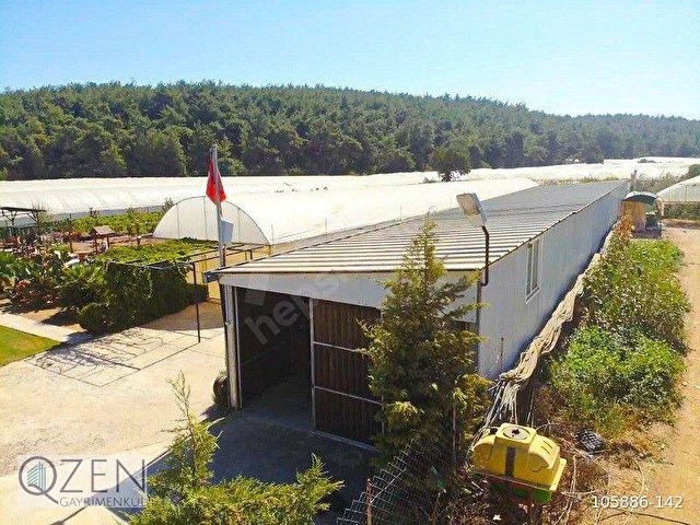 10 DÖNÜM HAZIR KURULU DÜZENLİ, BAKIMLI, ŞAHANE ÇİFTLİK! - Görsel 7