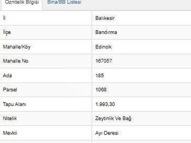 Edincikte Satılık Zeytin Bahçesi - Görsel 4