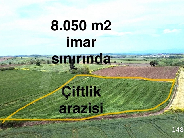 BALIKESİR SUSURLUK Ümitelinde Satılık Çiftlik Arazisi