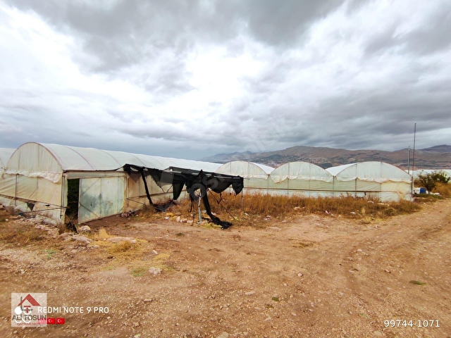 Ali Tosun Dan Golova Da Tam Hazir Kurulu 14745m2 Sera Ve Evi 99744 1071 Hurriyet Emlak