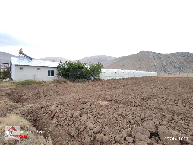 Ali Tosun Dan Golova Da Tam Hazir Kurulu 14745m2 Sera Ve Evi 99744 1071 Hurriyet Emlak
