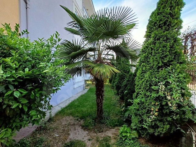 KARTEPE ATAEVLER MH. KİRALIK 1+1 DAİRE - Görsel 4