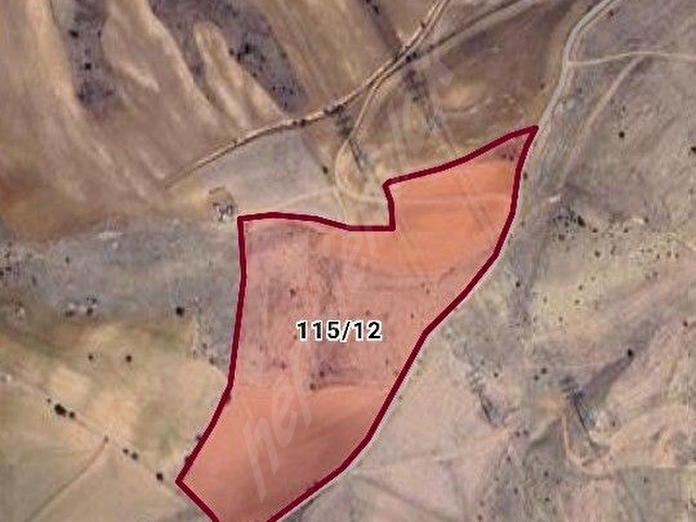 SAHİBİNDEN SATILIK 1623 M2 KADASTRO YOLA CEPHELİ KELLEPİR ACİL - Görsel 3