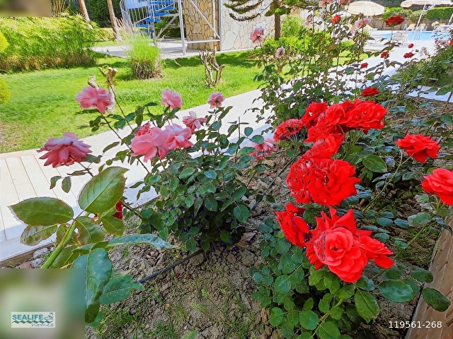 Denize Sıfır Site İçerisinde Satılık Geniş 2+1 Daire - Görsel 13