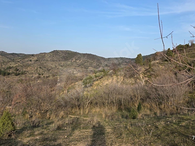 TELEFON FİYATINA ARAZİ VERİYORUZ, 409 M2,RESMİ YOLU VE SUYU VAR! - Görsel 26