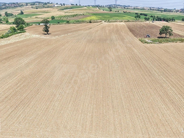 KANDIRADA 52 DÖNÜM ASFALTA CEPHE TARIM VE HAYVANSAL PROJE ALANI